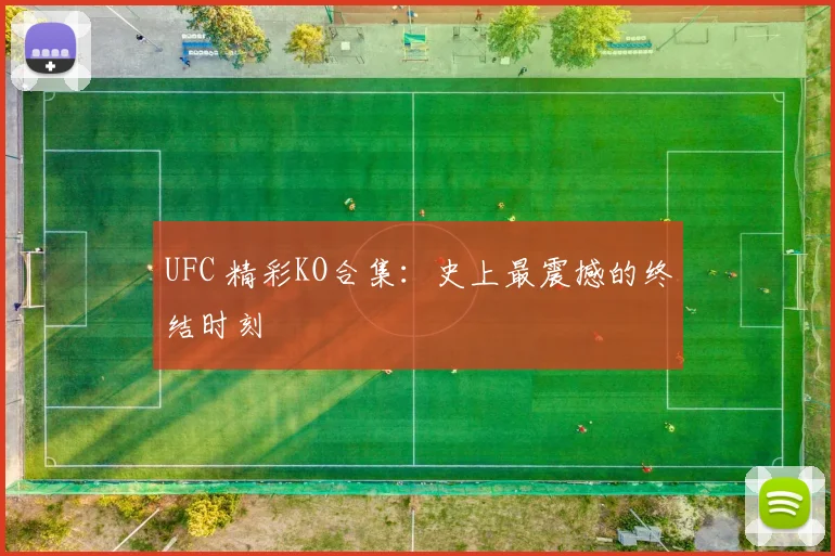 UFC 精彩KO合集:史上最震撼的终结时刻